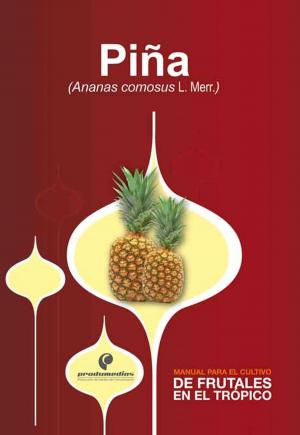 Cover of the book Manual para el cultivo de frutales en el trópico. Piña by Manuel Joaquín Pinto Zapata