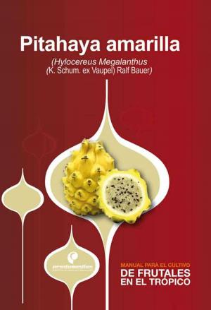 Cover of the book Manual para el cultivo de frutales en el trópico. Pitahaya by Hernán Pinzón Ramírez
