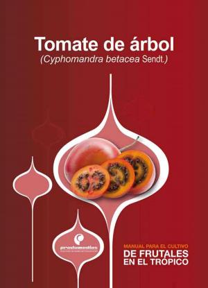 Cover of the book Manual para el cultivo de frutales en el trópico. Tomate de árbol by Hernán Pinzón Ramírez