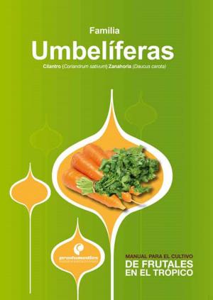 Cover of the book Manual para el cultivo de hortalizas. Familia Umbelíferas by Hernán Pinzón Ramírez, Germán David Sánchez