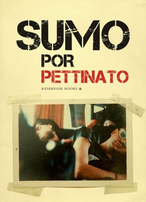 Cover of the book Sumo por Pettinato by José Carlos Chiaramonte