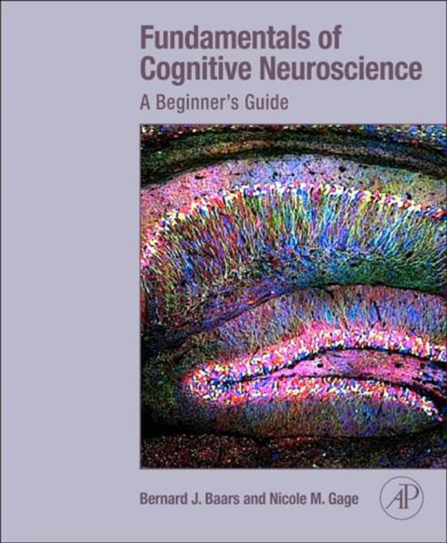 Cover of the book Fundamentals of Cognitive Neuroscience by Bernard Baars, Nicole M. Gage, Elsevier Science