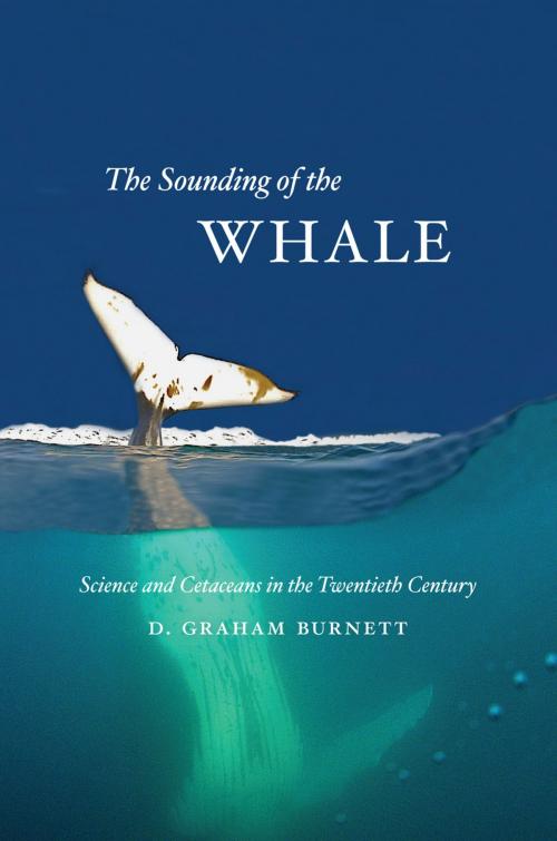 Cover of the book The Sounding of the Whale by D. Graham Burnett, University of Chicago Press