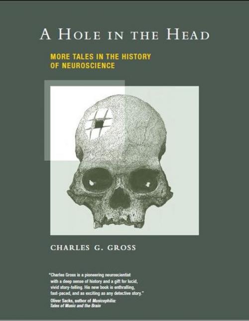 Cover of the book A Hole in the Head by Charles G. Gross, The MIT Press
