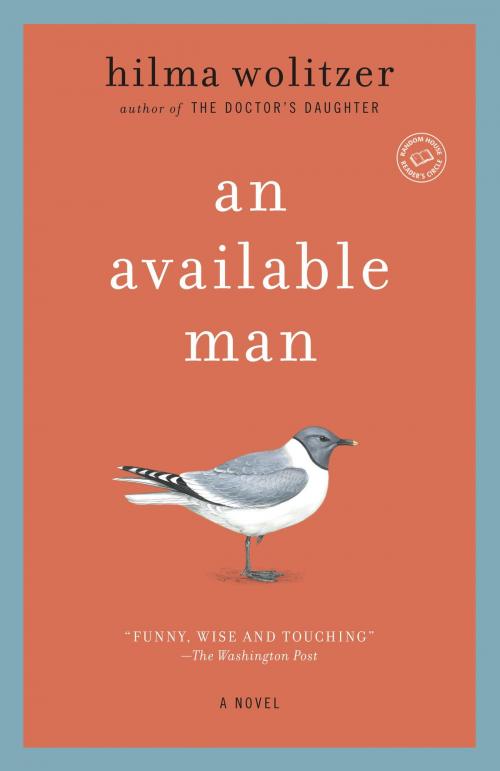 Cover of the book An Available Man by Hilma Wolitzer, Random House Publishing Group