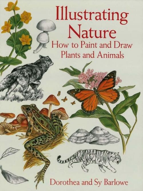 Cover of the book Illustrating Nature: How to Paint and Draw Plants and Animals by Dorothea Barlowe, Dover Publications