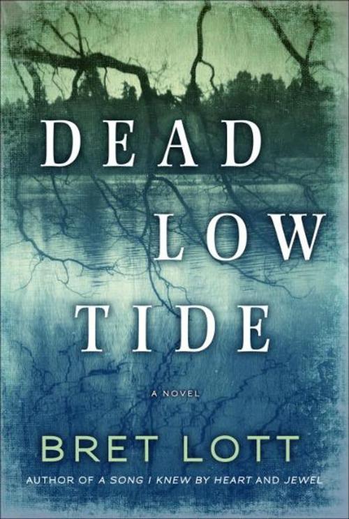 Cover of the book Dead Low Tide by Bret Lott, Random House Publishing Group