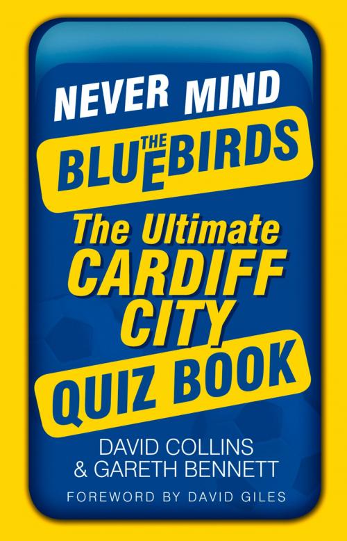 Cover of the book Never Mind the Bluebirds by David Collins, Gareth Bennett, The History Press