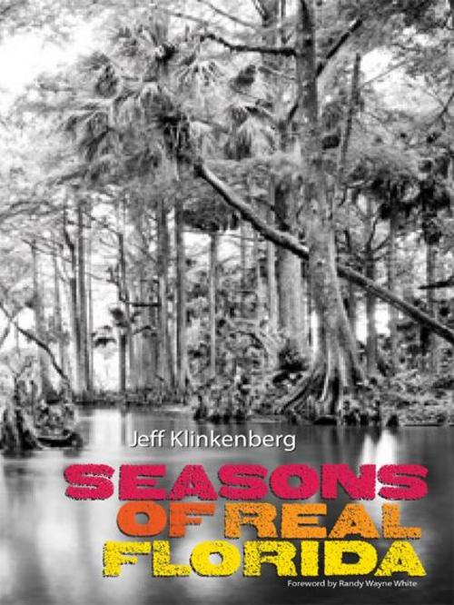 Cover of the book Seasons of Real Florida by Jeff Klinkenberg, University Press of Florida
