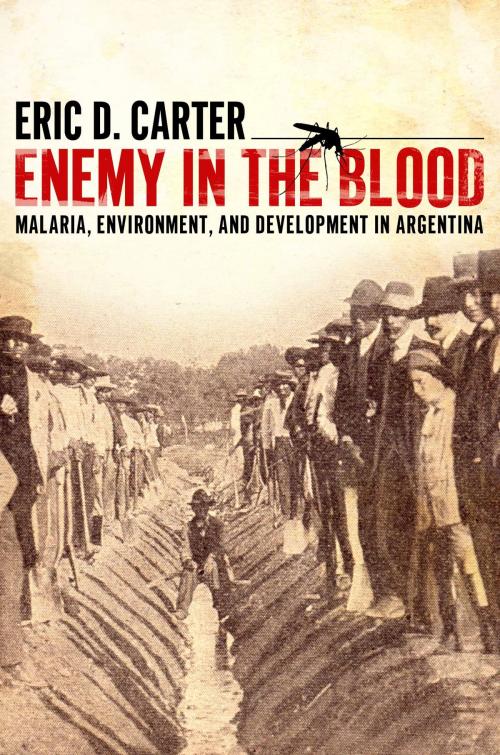 Cover of the book Enemy in the Blood by Eric D. Carter, University of Alabama Press