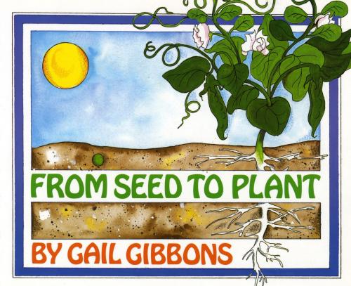 Cover of the book From Seed to Plant by Gail Gibbons, Holiday House