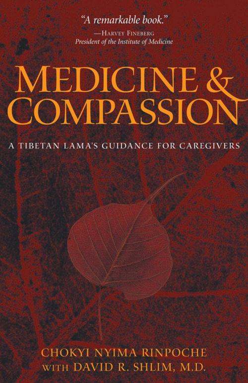 Cover of the book Medicine and Compassion by Chokyi Nyima Rinpoche, David R Shlim, M.D., Harvey Fineberg, Wisdom Publications