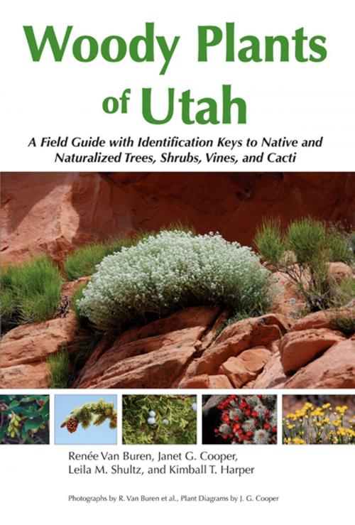 Cover of the book Woody Plants of Utah by Renee Van Buren, Janet G. Cooper, Leila M. Shultz, Kimball T. Harper, Utah State University Press