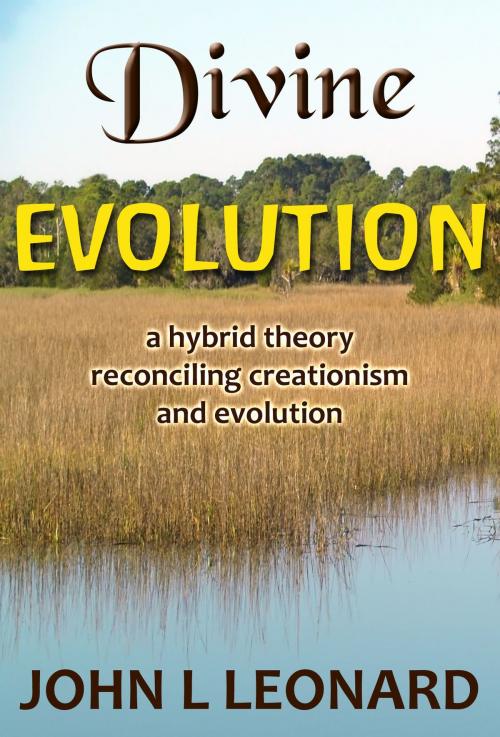 Cover of the book Divine Evolution by John L Leonard, Each Voice Publishing