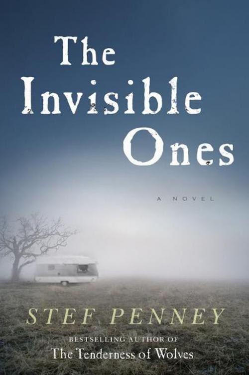 Cover of the book The Invisible Ones by Stef Penney, Penguin Publishing Group