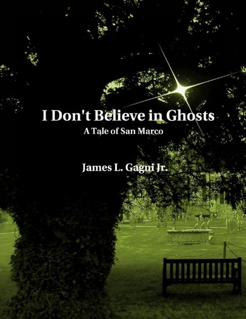 Cover of the book I Don't Believe In Ghosts: A Tale of San Marco by James L. Gagni Jr., Lulu.com