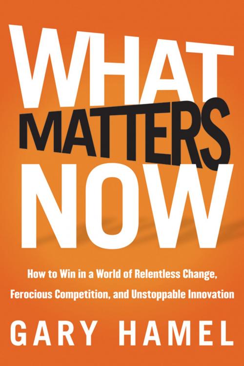 Cover of the book What Matters Now by Gary Hamel, Wiley