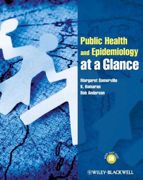 Cover of the book Public Health and Epidemiology at a Glance by Margaret Somerville, K. Kumaran, Rob Anderson, Wiley