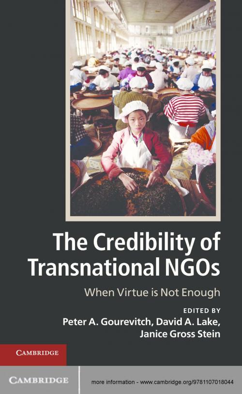 Cover of the book The Credibility of Transnational NGOs by , Cambridge University Press