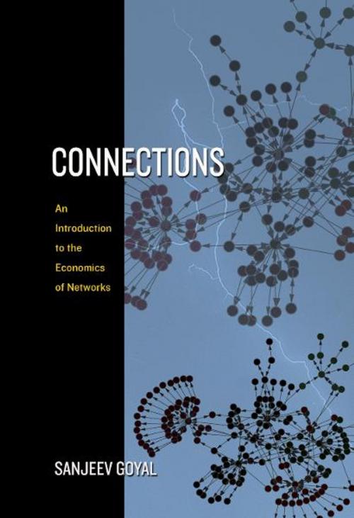 Cover of the book Connections by Sanjeev Goyal, Princeton University Press