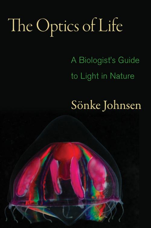 Cover of the book The Optics of Life by Sönke Johnsen, Princeton University Press