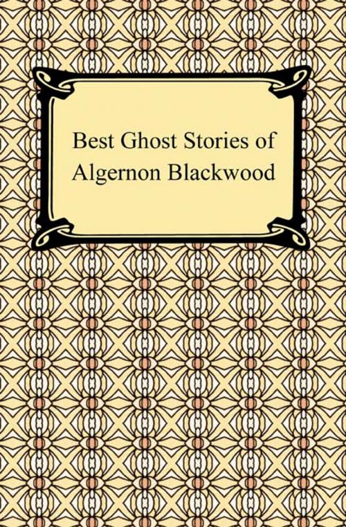 Cover of the book Best Ghost Stories of Algernon Blackwood by Algernon Blackwood, Neeland Media LLC