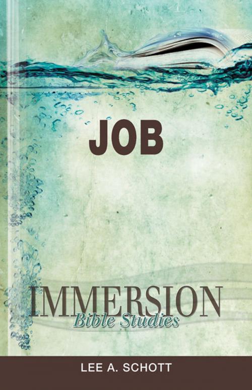 Cover of the book Immersion Bible Studies: Job by Lee A. Schott, Abingdon Press