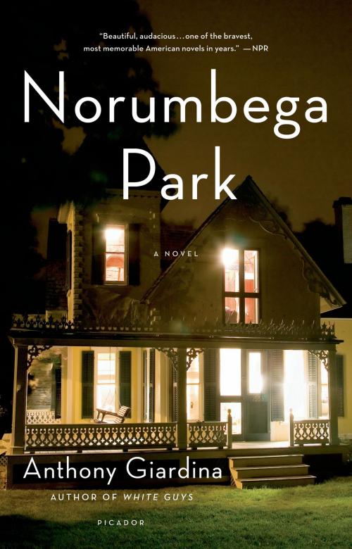 Cover of the book Norumbega Park by Anthony Giardina, Farrar, Straus and Giroux