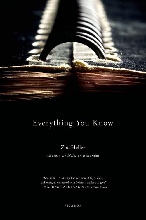 Cover of the book Everything You Know by Zoë Heller, Picador