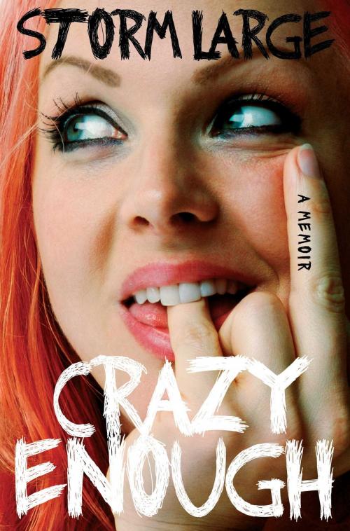 Cover of the book Crazy Enough by Storm Large, Free Press