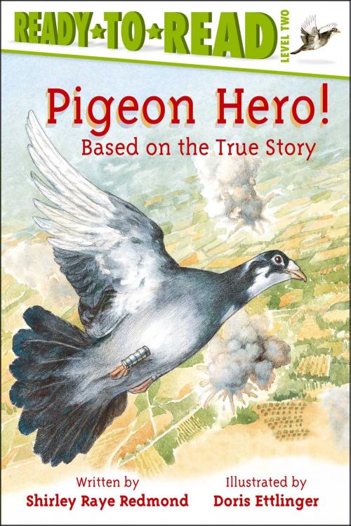 Cover of the book Pigeon Hero! by Shirley Raye Redmond, Simon Spotlight