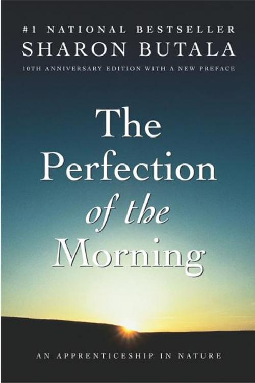 Cover of the book Perfection Of The Morning by Sharon Butala, HarperCollins Publishers