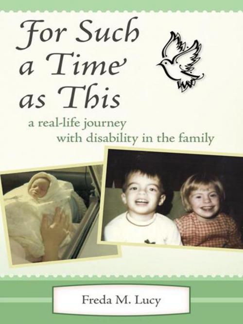 Cover of the book "For Such a Time as This" by Freda M. Lucy, WestBow Press