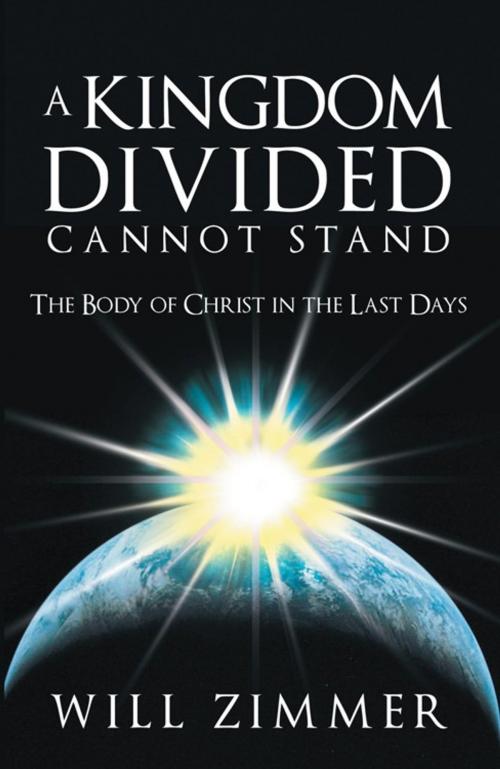 Cover of the book A Kingdom Divided Cannot Stand by Will Zimmer, WestBow Press
