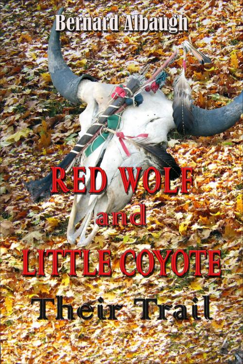 Cover of the book Red Wolf and Little Coyote: VISION QUEST by Bernard Albaugh, Bernard Albaugh