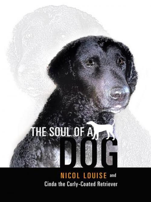 Cover of the book The Soul of a Dog by Nicol Louise, Cinda the Curly-Coated Retriever, Balboa Press AU