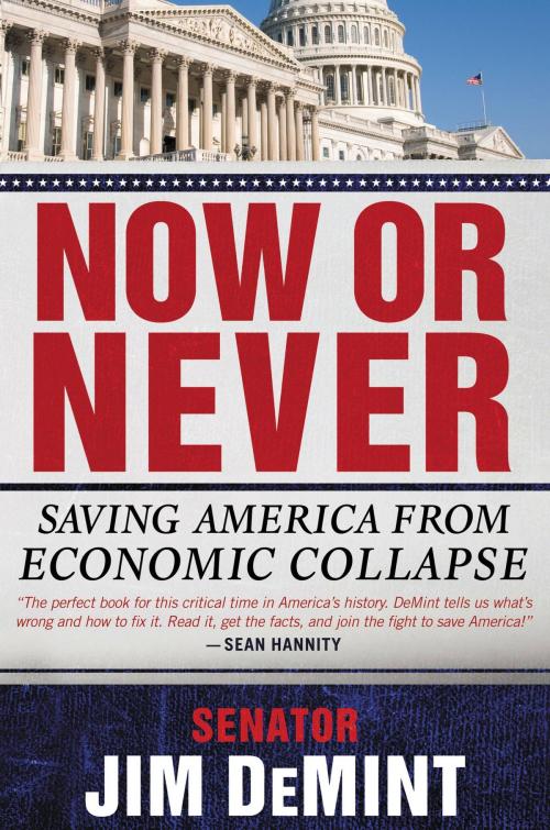 Cover of the book Now or Never by Jim DeMint, Center Street