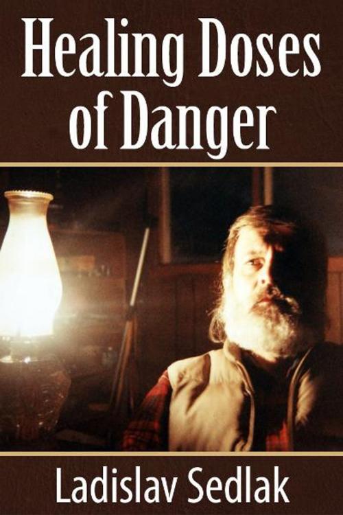 Cover of the book Healing Doses of Danger by Ladislav Sedlak, eBookIt.com