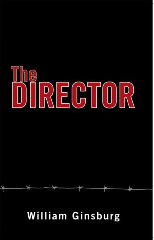 Cover of the book The Director by William Ginsburg, iUniverse
