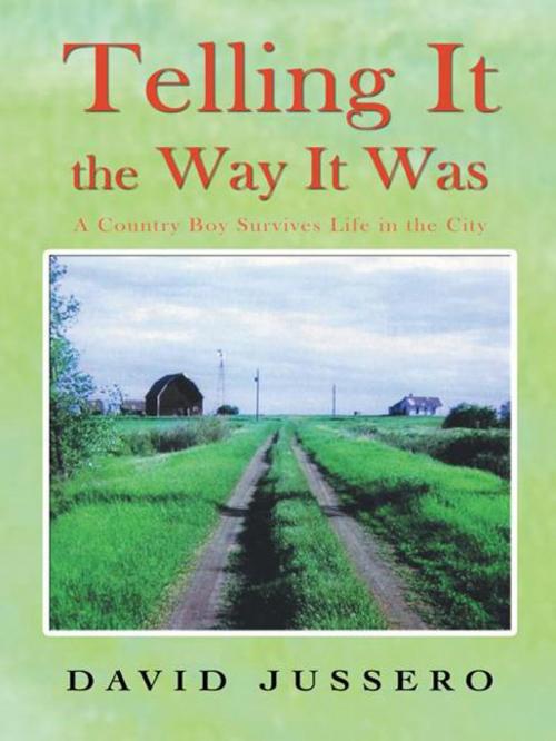 Cover of the book Telling It the Way It Was by David Jussero, iUniverse