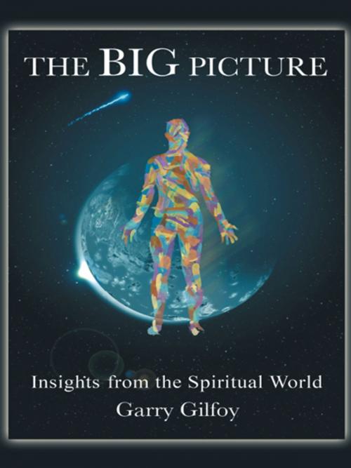 Cover of the book The Big Picture by Garry Gilfoy, iUniverse