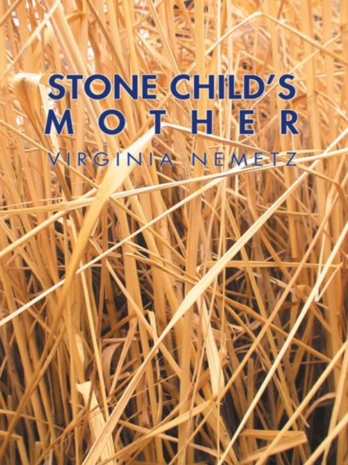 Cover of the book Stone Child’S Mother by Virginia Nemetz, iUniverse