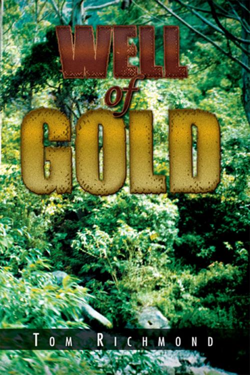 Cover of the book Well of Gold by Tom Richmond, Xlibris US