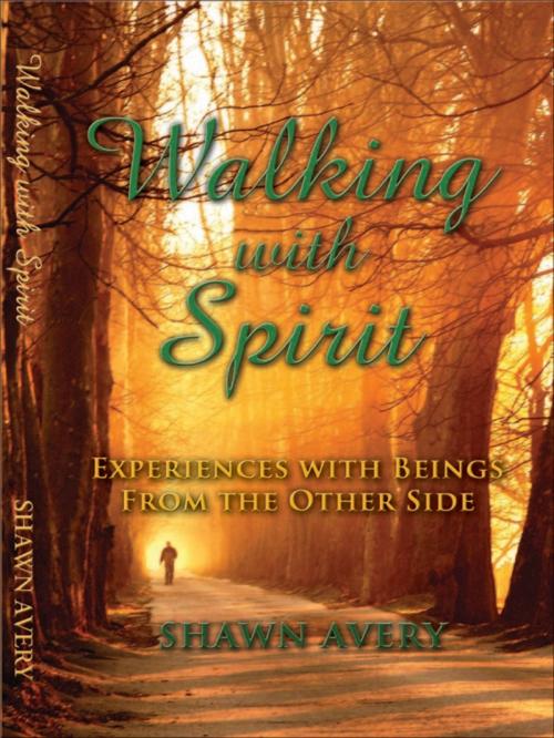 Cover of the book Walking with Spirit by Shawn Avery, Shawn Avery