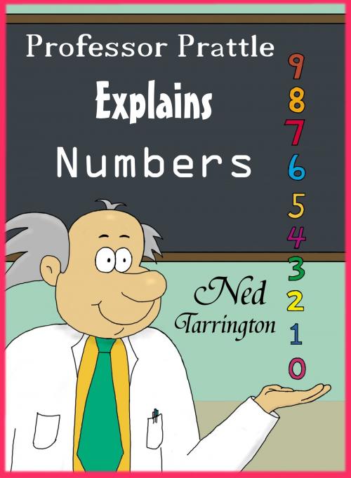 Cover of the book Professor Prattle Explains Numbers by Ned Tarrington, Ned Tarrington