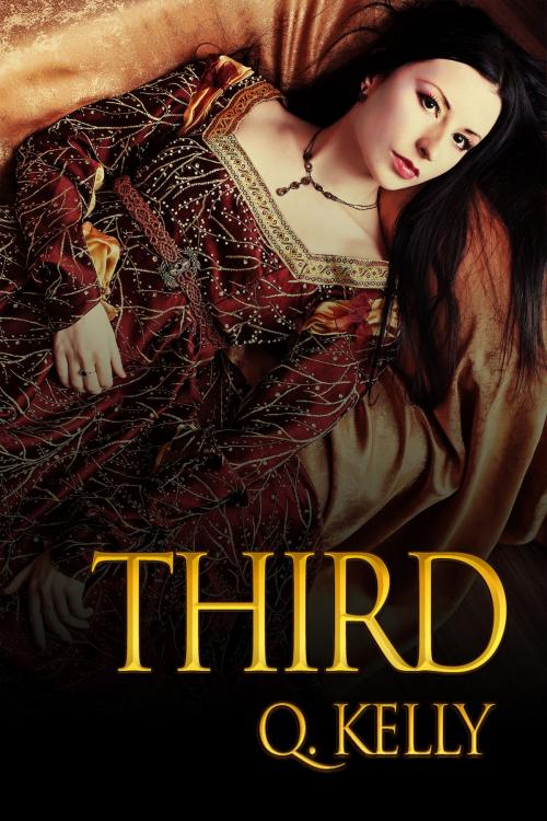 Cover of the book Third by Q. Kelly, Q. Kelly