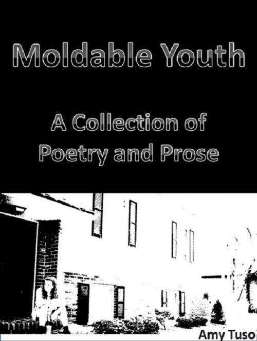 Cover of the book Moldable Youth: A Collection of Poetry and Prose by Amy Tuso, Amy Tuso
