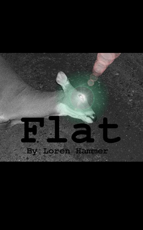 Cover of the book Flat by Loren Hammer, Loren Hammer