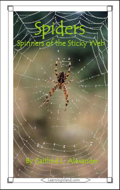Cover of the book Spiders: Spinners of the Sticky Web by Caitlind L. Alexander, LearningIsland.com