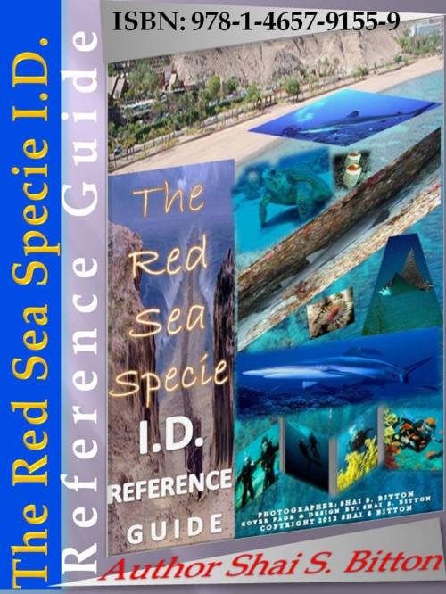 Cover of the book The Red Sea Specie I.D. Reference Guide by Shai S Bitton, Shai S Bitton